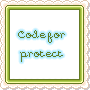 code for protect page